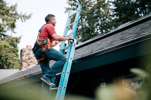 Best Sheet Metal Roofing  in Susitna North, AK